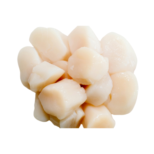 St. Jacobs/ Coquillevlees fresh(1kg) 
