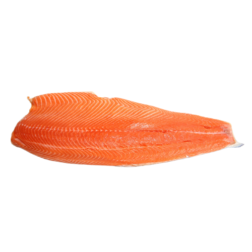 Zalm 7/8 kg (Salmo salar)