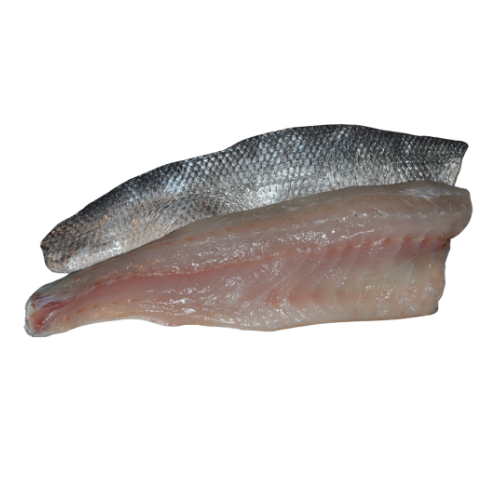 Zeebaars (800-1000g)