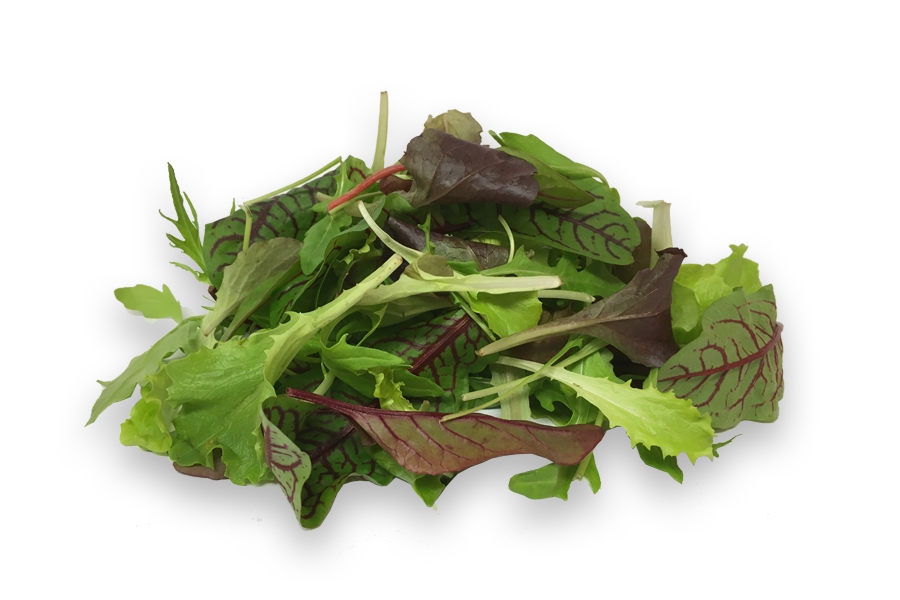  Sla mesculun gewassen pr (kist 1kg) FRANKRIJK
