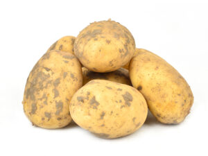 Aard Frietaardappel FRIT pr (5kg) BELGIE