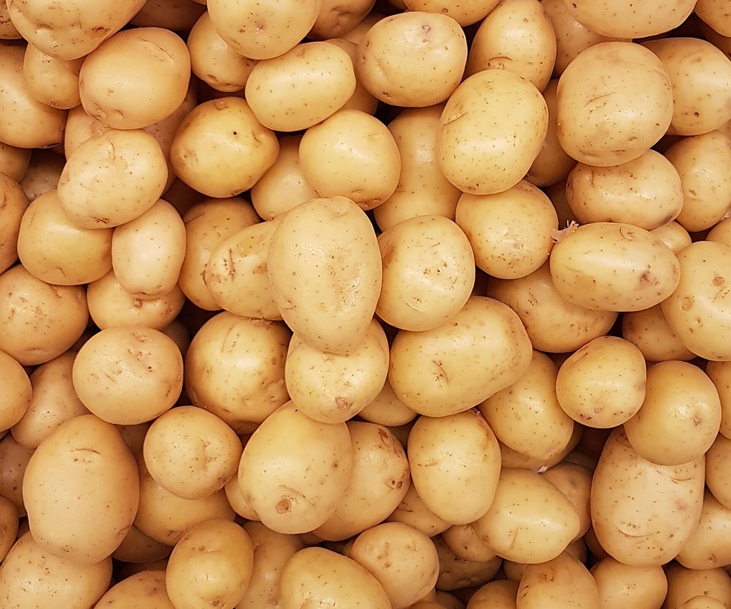 POTATO 20KG