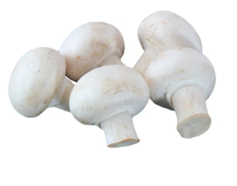  Champ wit middel pr (500g) BELGIE