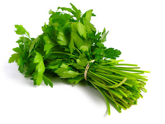  Koriander pr (80g) SPANJE