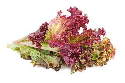  Sla frise rood_BELGIE 