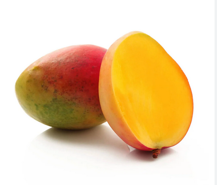 Mango boot_BRAZILIE
