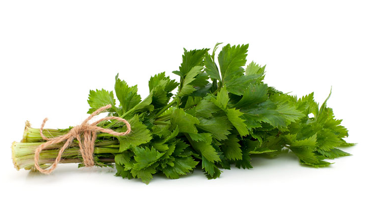 Peterselie_BELGIE