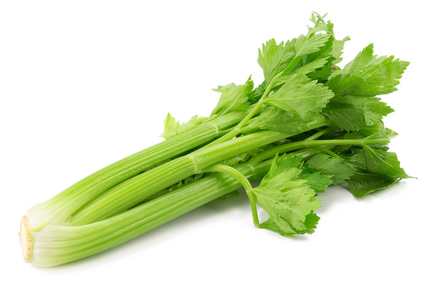 Selder stoof (bleekselder)_SPANJE 