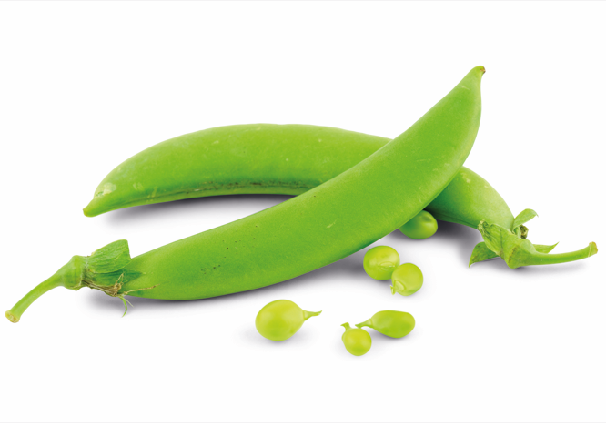 Sluimerwt(250g)_KENIA