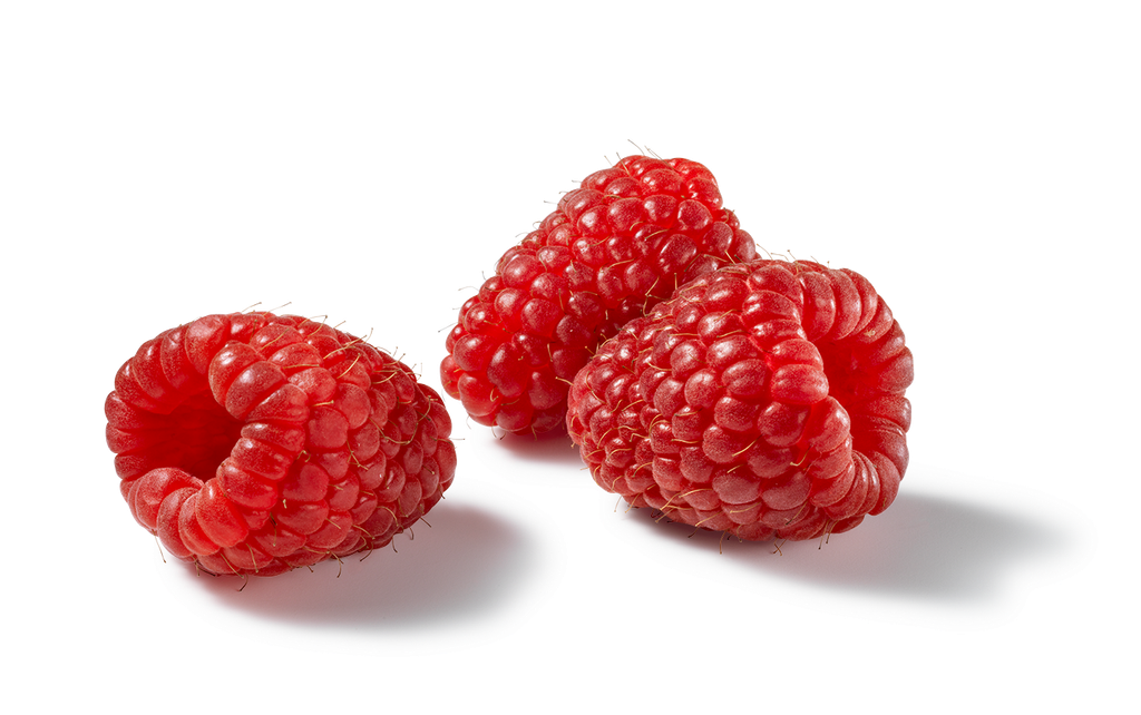 RODE BRAMEN  RASPBERRY FRAMBOOS