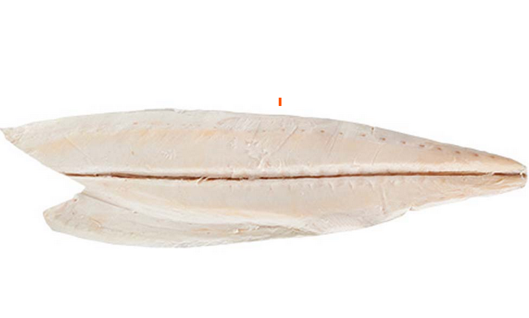 Butterfish